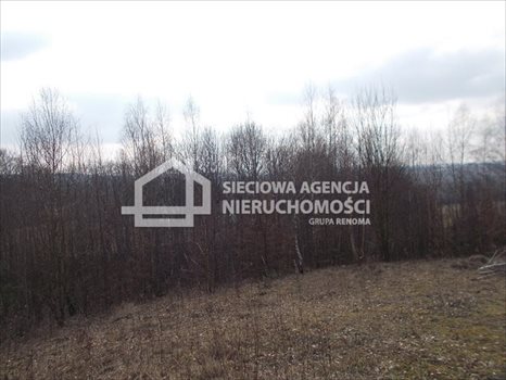 Działka budowlana na sprzedaż Łapalice 2 209m2 Foto 4