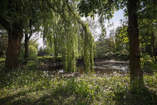 Dom na sprzedaż Jankowo 250m2 Foto 6