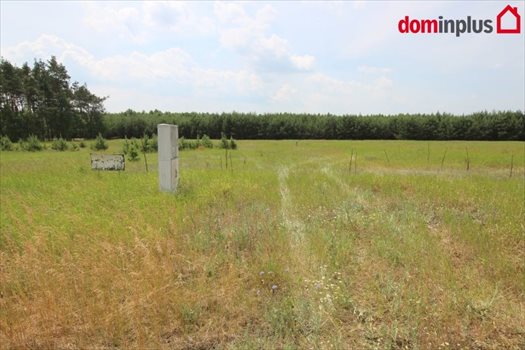 Działka inna na sprzedaż Sąsieczno 1 500m2 Foto 1