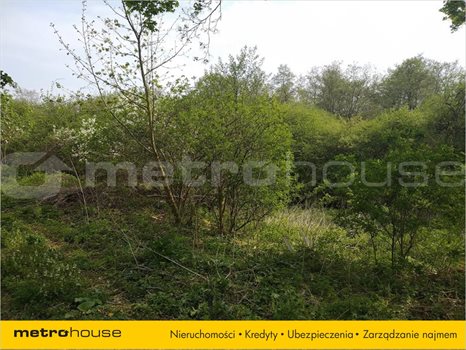 Działka rolna na sprzedaż Kamionek Wielki, Tolkmicko 918m2 Foto 4