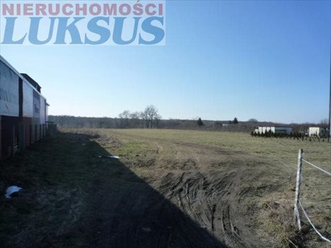 Działka budowlana na sprzedaż Łoś, Łoś 1 500m2 Foto 2