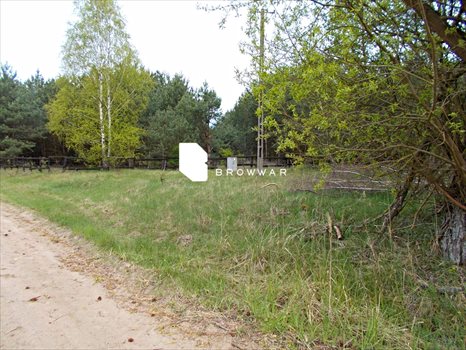 Działka budowlana na sprzedaż Silna 2 969m2 Foto 8
