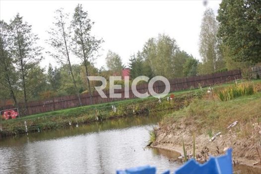 Działka budowlana na sprzedaż Nowe Załubice 4 998m2 Foto 2