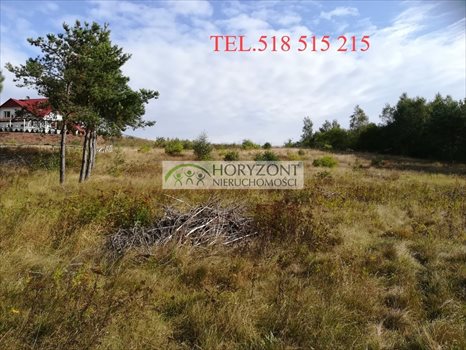 Działka budowlana na sprzedaż Bojano 3 932m2 Foto 1