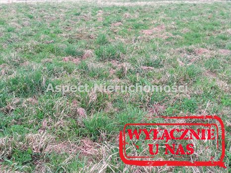 Działka budowlana na sprzedaż Żory, Kleszczów 880m2 Foto 1