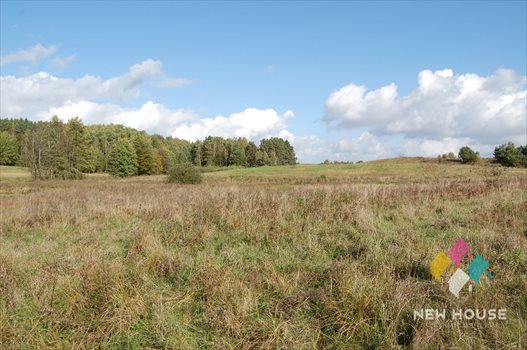 Działka inna na sprzedaż Lamkowo 53 300m2 Foto 7