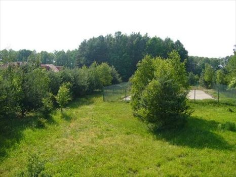 Dom na sprzedaż Trzcianka 894m2 Foto 1