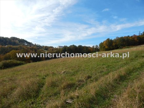 Działka inna na sprzedaż Limanowa 2 000m2 Foto 2