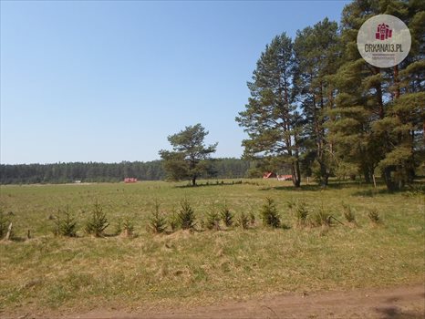 Działka rekreacyjna na sprzedaż Ząbie, Ząbie 2 981m2 Foto 5