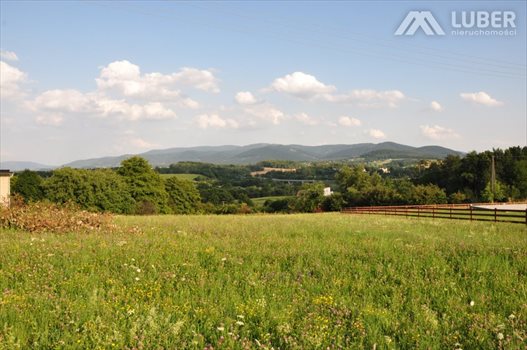 Działka budowlana na sprzedaż Bielowicko 3 223m2 Foto 6