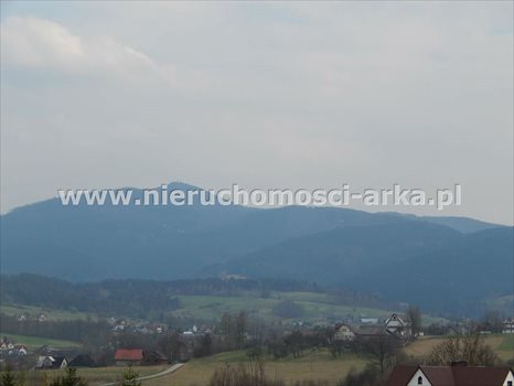 Działka budowlana na sprzedaż Dobra 3 700m2 Foto 4