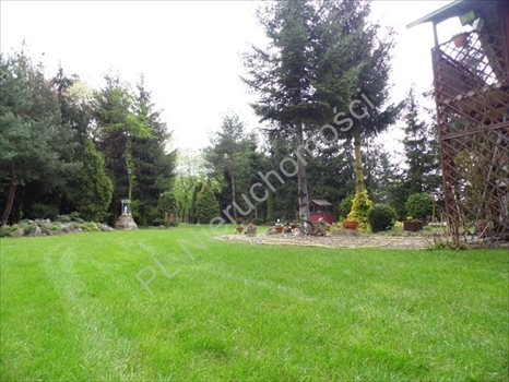 Działka budowlana na sprzedaż Wola Krakowiańska 4 341m2 Foto 1