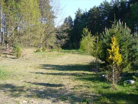 Dom na sprzedaż Trzcianka 894m2 Foto 6