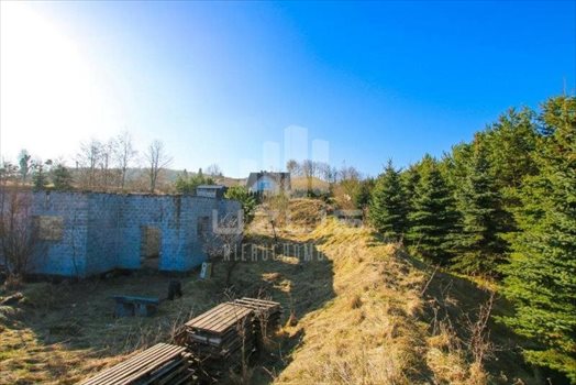 Działka inna na sprzedaż Bielkówko, Dworcowa 10 000m2 Foto 7