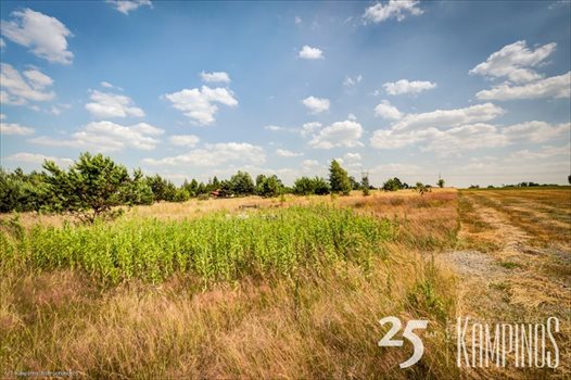 Działka rolna na sprzedaż Łazy, Kampinos, oferta 1649 10 000m2 Foto 2