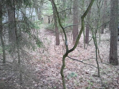 Działka budowlana na sprzedaż Ruda 6 100m2 Foto 9