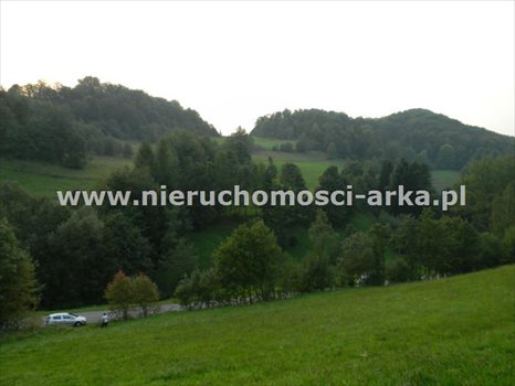 Działka budowlana na sprzedaż Porąbka 15 000m2 Foto 2