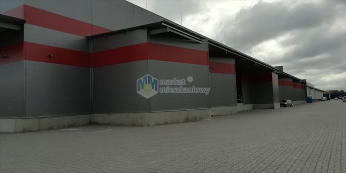 Lokal użytkowy na wynajem Józefosław 3 000m2 Foto 3