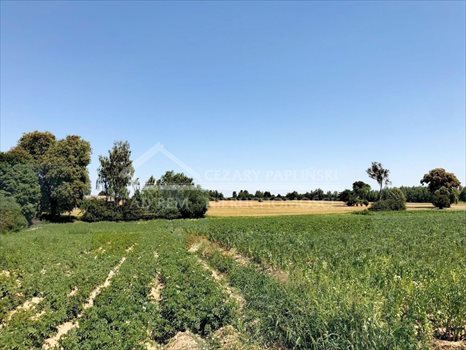 Działka budowlana na sprzedaż Kalinówka, Głusk 7 400m2 Foto 8