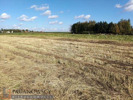 Działka budowlana na sprzedaż Batowice 800m2 Foto 2