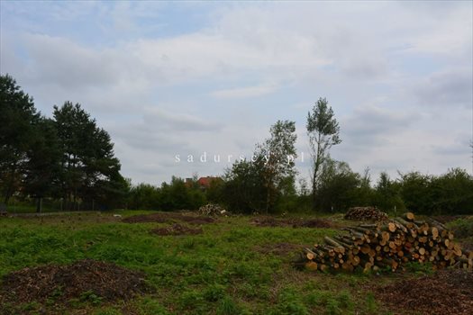 Działka budowlana na sprzedaż Kraków, Dębniki, Kliny, Spacerowa 2 609m2 Foto 11
