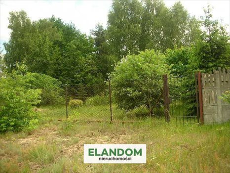 Działka budowlana na sprzedaż Józefów, Górki 2 005m2 Foto 7