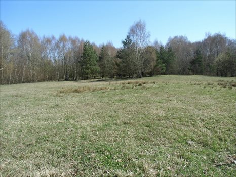 Działka budowlana na sprzedaż Kielno, Wiśniowa 1 415m2 Foto 1
