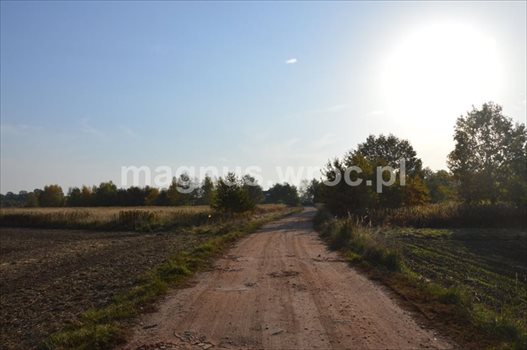 Działka budowlana na sprzedaż Wrocław, Psie Pole, Kowale, Boczna Kowalskiej 7 663m2 Foto 3