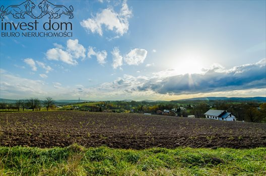 Działka budowlana na sprzedaż Zagórzany 1 720m2 Foto 6