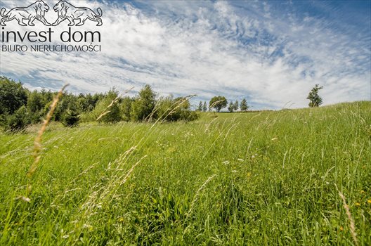 Działka budowlana na sprzedaż Bystra 6 000m2 Foto 7