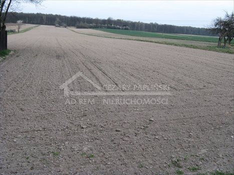 Działka budowlana na sprzedaż Prawiedniki-Kolonia, Prawiedniki Kolonia 1 300m2 Foto 4