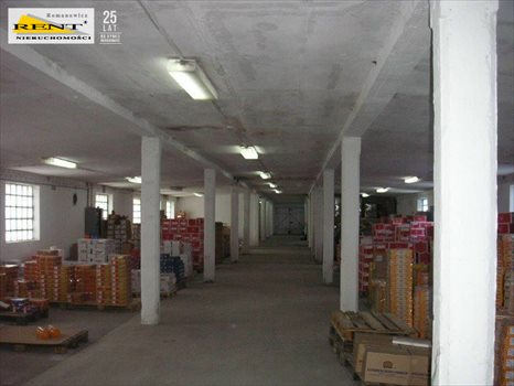 Lokal użytkowy na sprzedaż Tarnowo 20 004m2 Foto 7