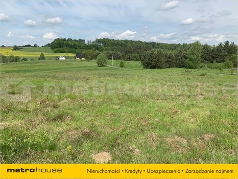 Działka inna na sprzedaż Trzepowo, Przywidz 1 124m2 Foto 3