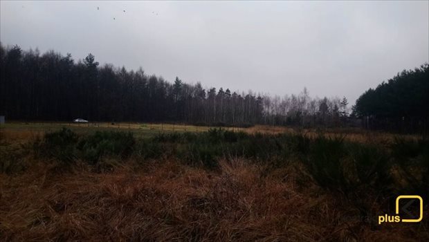 Działka budowlana na sprzedaż Orzesze, Woszczyce, Palowicka 900m2 Foto 11