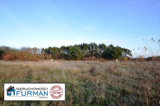 Działka budowlana na sprzedaż Rościnno 1 145m2 Foto 11