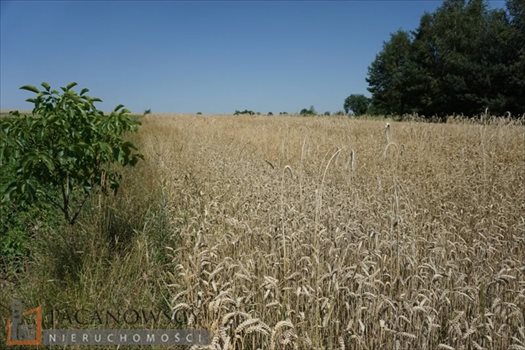 Działka inna na sprzedaż Cianowice Duże 8 300m2 Foto 7