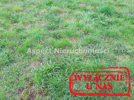 Działka budowlana na sprzedaż Żory, Rogoźna 2 170m2 Foto 1