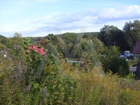 Działka inna na sprzedaż Gdańsk, Matemblewo, POTOKOWA 833m2 Foto 5