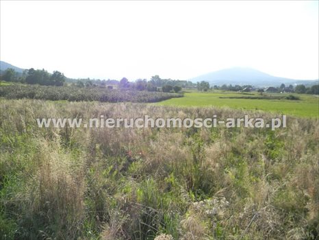 Działka budowlana na sprzedaż Dobra 1 300m2 Foto 6