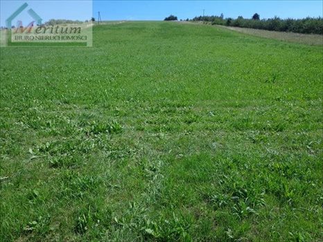 Działka budowlana na sprzedaż Nowy Sącz 1 000m2 Foto 2