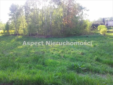 Działka budowlana na sprzedaż Jankowice Rybnickie 1 340m2 Foto 2