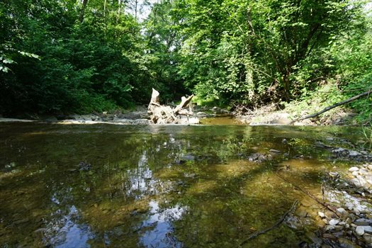 Działka budowlana na sprzedaż Przenosza 2 800m2 Foto 8