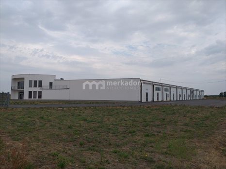 Lokal użytkowy na sprzedaż Tarnowo Podgórne 4 000m2 Foto 3