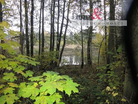 Działka rolna na sprzedaż Gdynia, Chwarzno-Wiczlino, Kazimierza Małkowskiego 5 793m2 Foto 2