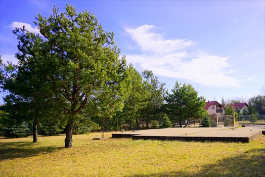 Działka budowlana na sprzedaż Wycinki Osowskie 907m2 Foto 2