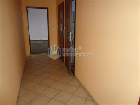 Lokal użytkowy na wynajem Warszawa, Ursynów 385m2 Foto 5