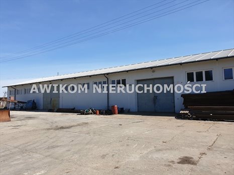 Lokal użytkowy na sprzedaż Teresin 6 975m2 Foto 1