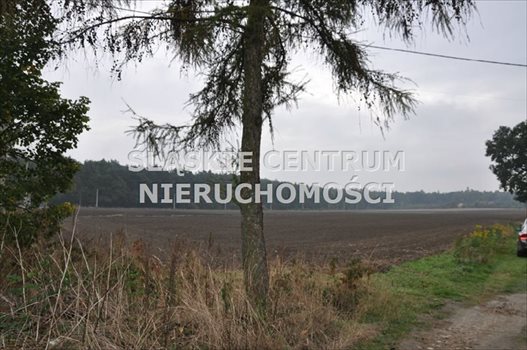 Działka budowlana na sprzedaż Jedlina, Dąbrowskiej 621m2 Foto 6