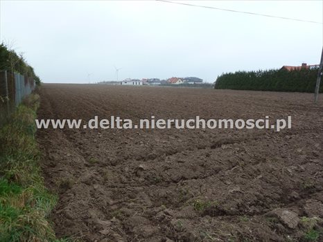 Działka budowlana na sprzedaż Łosino 22 445m2 Foto 4