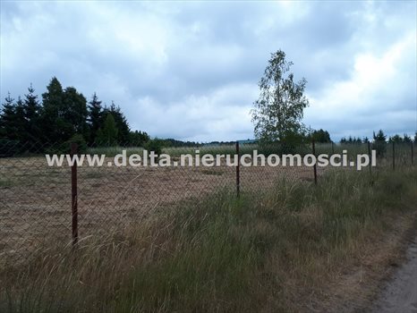 Działka budowlana na sprzedaż Izbica 1 248m2 Foto 7